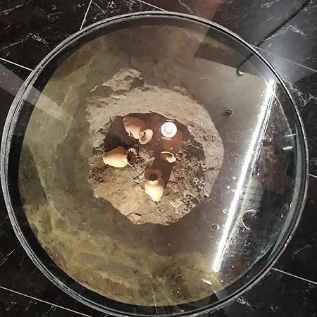 Apartamento Inn.... Mary Orvieto